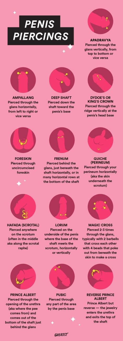 piercing en el pene|Penis Piercing: 13 Types, Sexual Benefits, Pain, Aftercare ...